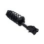 FCS Struts 1331674R Suspension Strut and Coil Spring Assembly