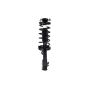 FCS Struts 1331675L Suspension Strut and Coil Spring Assembly