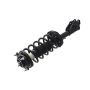 FCS Struts 1331675L Suspension Strut and Coil Spring Assembly