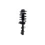 FCS Struts 1331685L Suspension Strut and Coil Spring Assembly