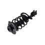 FCS Struts 1331685L Suspension Strut and Coil Spring Assembly