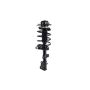 FCS Struts 1331685R Suspension Strut and Coil Spring Assembly