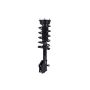 FCS Struts 1331688L Suspension Strut and Coil Spring Assembly