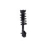 FCS Struts 1331688R Suspension Strut and Coil Spring Assembly