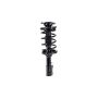 FCS Struts 1331702L Suspension Strut and Coil Spring Assembly