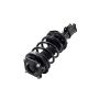 FCS Struts 1331702R Suspension Strut and Coil Spring Assembly