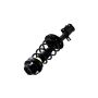 FCS Struts 1331709L Suspension Strut and Coil Spring Assembly