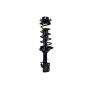 FCS Struts 1331709L Suspension Strut and Coil Spring Assembly