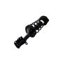 FCS Struts 1331709L Suspension Strut and Coil Spring Assembly