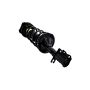 FCS Struts 1331709L Suspension Strut and Coil Spring Assembly