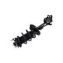 FCS Struts 1331715L Suspension Strut and Coil Spring Assembly