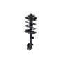 FCS Struts 1331716L Suspension Strut and Coil Spring Assembly
