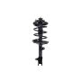 FCS Struts 1331716L Suspension Strut and Coil Spring Assembly