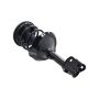 FCS Struts 1331716R Suspension Strut and Coil Spring Assembly