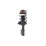 FCS Struts 1331727 Suspension Strut and Coil Spring Assembly
