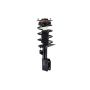 FCS Struts 1331734 Suspension Strut and Coil Spring Assembly