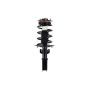 FCS Struts 1331734 Suspension Strut and Coil Spring Assembly