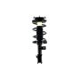 FCS Struts 1331739L Suspension Strut and Coil Spring Assembly