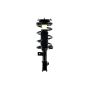 FCS Struts 1331739R Suspension Strut and Coil Spring Assembly