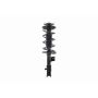 FCS Struts 1331741L Suspension Strut and Coil Spring Assembly