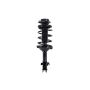 FCS Struts 1331746L Suspension Strut and Coil Spring Assembly