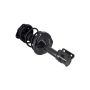 FCS Struts 1331747L Suspension Strut and Coil Spring Assembly