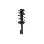 FCS Struts 1331749L Suspension Strut and Coil Spring Assembly