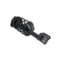 FCS Struts 1331749L Suspension Strut and Coil Spring Assembly