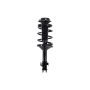 FCS Struts 1331749R Suspension Strut and Coil Spring Assembly