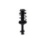 FCS Struts 1331750L Suspension Strut and Coil Spring Assembly