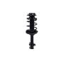 FCS Struts 1331750R Suspension Strut and Coil Spring Assembly