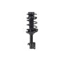 FCS Struts 1331751L Suspension Strut and Coil Spring Assembly