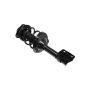 FCS Struts 1331753L Suspension Strut and Coil Spring Assembly
