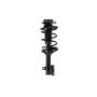 FCS Struts 1331761L Suspension Strut and Coil Spring Assembly