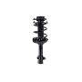 FCS Struts 1331762R Suspension Strut and Coil Spring Assembly
