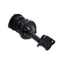 FCS Struts 1331762R Suspension Strut and Coil Spring Assembly