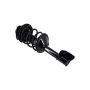 FCS Struts 1331763L Suspension Strut and Coil Spring Assembly
