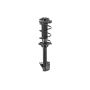 FCS Struts 1331767L Suspension Strut and Coil Spring Assembly