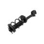 FCS Struts 1331767L Suspension Strut and Coil Spring Assembly