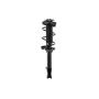 FCS Struts 1331767R Suspension Strut and Coil Spring Assembly
