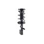 FCS Struts 1331775L Suspension Strut and Coil Spring Assembly