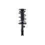 FCS Struts 1331775L Suspension Strut and Coil Spring Assembly
