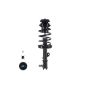 FCS Struts 1331776L Suspension Strut and Coil Spring Assembly