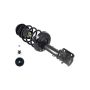 FCS Struts 1331776L Suspension Strut and Coil Spring Assembly
