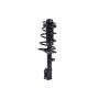 FCS Struts 1331782L Suspension Strut and Coil Spring Assembly