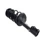 FCS Struts 1331782L Suspension Strut and Coil Spring Assembly