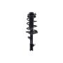 FCS Struts 1331782R Suspension Strut and Coil Spring Assembly