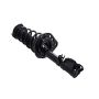FCS Struts 1331783L Suspension Strut and Coil Spring Assembly