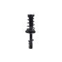 FCS Struts 1331783R Suspension Strut and Coil Spring Assembly