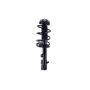 FCS Struts 1331789L Suspension Strut and Coil Spring Assembly